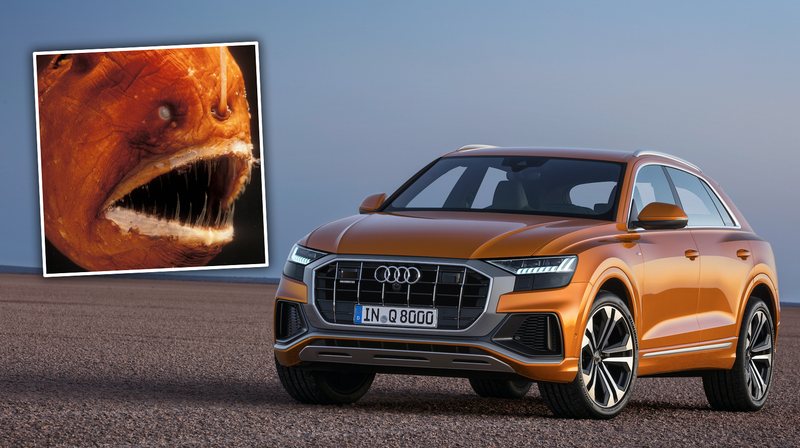 Illustration for article titled The 2019 Audi Q8 Boldly Shows Audi's Willingness To Make A Terrifyingly Ugly Car
